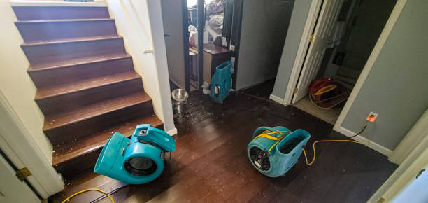 Best Water damage restoration near me  in Bally, PA