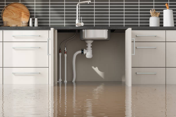 Best Sewage cleanup and water damage restoration  in Bally, PA