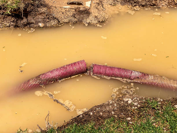 Best 24-hour water damage restoration  in Bally, PA
